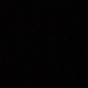 Meet your Posher, Ant